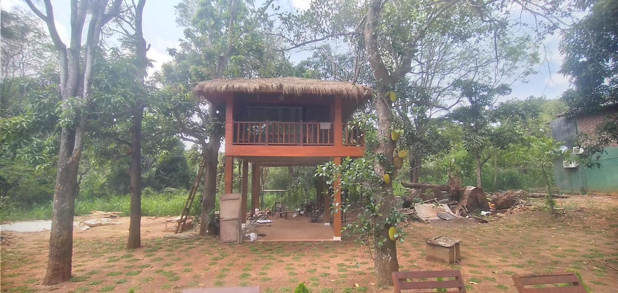 Isanka Lion Lodge Sigiriya Exterior foto